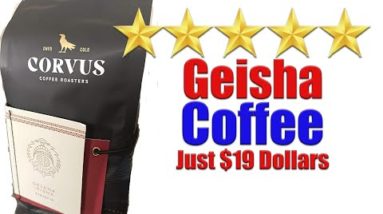 $19 Geisha Coffee Reviewed - Really from Corvus Coffee Roasters