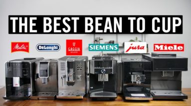 The Best Bean To Cup