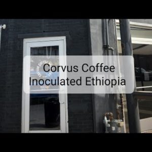 Corvus Coffee Roasters Review (Denver, CO)- Yeast Inoculated Ethiopia Anasora Intenso