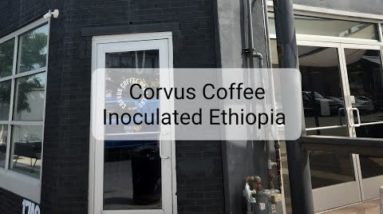 Corvus Coffee Roasters Review (Denver, CO)- Yeast Inoculated Ethiopia Anasora Intenso