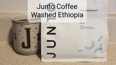 Junto Coffee Review (Taylors, SC)- Washed Ethiopia Hada Molecha Lot 1