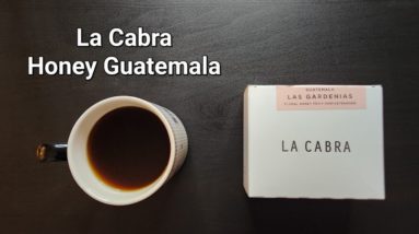 La Cabra Coffee Review (Copenhagen, Denmark)- Honey Guatemala Las Gardenias