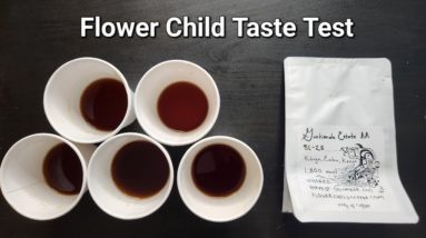 Taste Test/Rankings ft. Flower Child Coffee