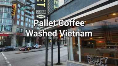 Pallet Coffee Roasters Review (Vancouver, BC)- Washed Vietnam Bao Loc