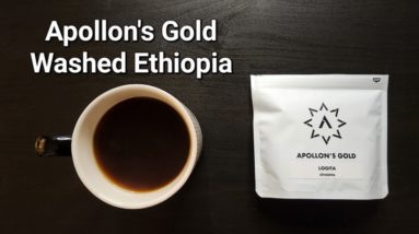 Apollon's Gold Coffee Review (Tokyo, Japan)- Washed Ethiopia Logita