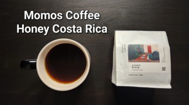 Momos Coffee Review (Busan, South Korea)- Yellow Honey Costa El Cedral