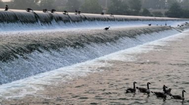 BEAUTIFUL RIVER WITH DUCKS