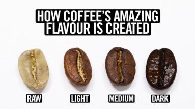 Coffee Roasting Explained