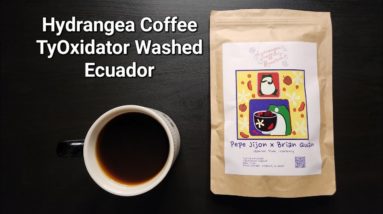 Hydrangea Coffee Review (Berkeley, CA)- TyOxidator Washed Ecuador Pepe Jijon x Brian Quan