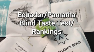 Blind Taste Test/Rankings ft. Apollon's Gold, Coffea Circulor and Leuchtfeuer