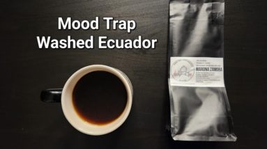 Mood Trap Coffee Roasters Review (Singapore)- Washed Ecuador Marona Zamora