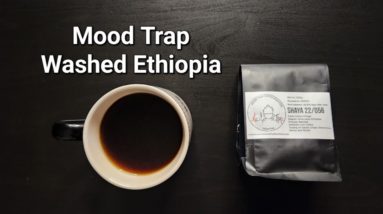 Mood Trap Coffee Roasters Review (Singapore)- Washed Ethiopia Shaya 22/056