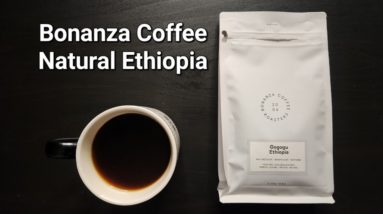 Bonanza Coffee Roasters Review (Berlin, Germany)- Natural Ethiopia Gogogu