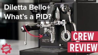 Diletta Bello+ with PID – What is a PID?!