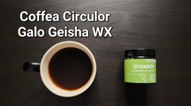 Coffea Circulor Coffee Review (Arendal, Norway)- Washed Ecuador Galo Geisha WX