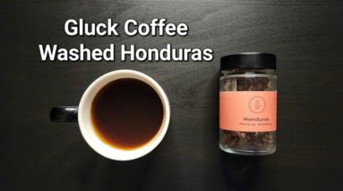 Gluck Coffee Spot Review (Kumamoto, Japan)- Washed Honduras Finca La Tormenta