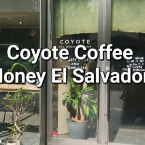 Coyote Coffee Review (Kyoto, Japan)- Honey El Salvador Carlos Lemus