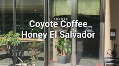 Coyote Coffee Review (Kyoto, Japan)- Honey El Salvador Carlos Lemus