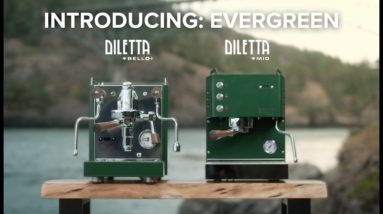 EVERGREEN 🌲 Limited Edition Diletta Bello+ & Diletta Mio Color!