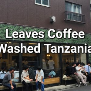 Leaves Coffee Review (Tokyo, Japan)- Washed Tanzania Acacia Hills Geisha