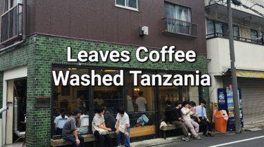 Leaves Coffee Review (Tokyo, Japan)- Washed Tanzania Acacia Hills Geisha