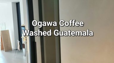 Ogawa Coffee Coffee Review (Tokyo, Japan)- Washed Guatemala El Injerto