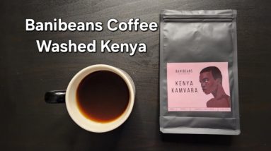 Banibeans Coffee Review (Ljubljana, Slovenia)- Washed Kenya Kamvara