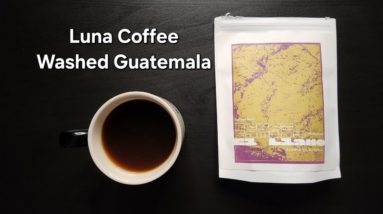 Luna Coffee Review (Langley, BC)- Washed Guatemala El Llano