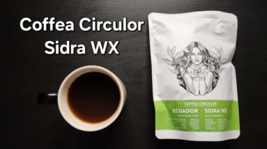 Coffea Circulor Coffee Review (Gothenburg, Sweden)- Washed Ecuador Sidra WX