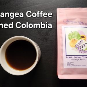 Hydrangea Coffee Review (Berkeley, CA)- Washed Colombia Frank Torres Pink Bourbon