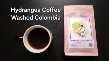 Hydrangea Coffee Review (Berkeley, CA)- Washed Colombia Frank Torres Pink Bourbon