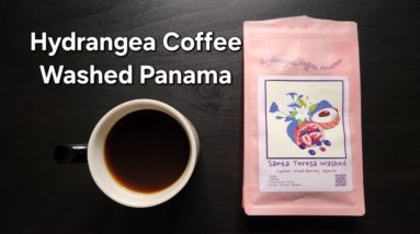 Hydrangea Coffee Review (Berkeley, CA)- Washed Panama Santa Teresa