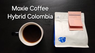 Moxie Coffee Company Review (Phoenix, Arizona)- Hybrid Washed Colombia Buena Vista