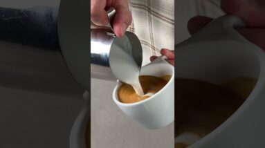 First latte on a new espresso machine 👀