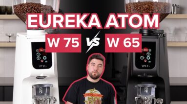 What is the difference between Eureka Atom W 65 and W 75?