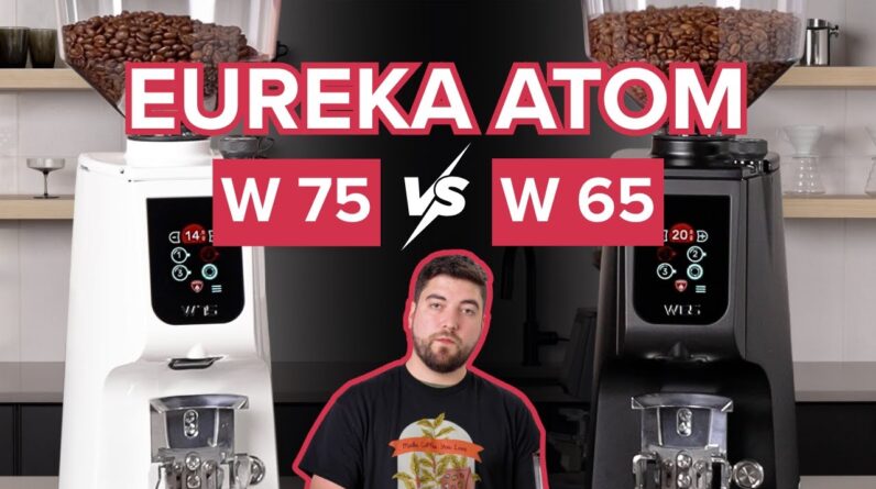 What is the difference between Eureka Atom W 65 and W 75?