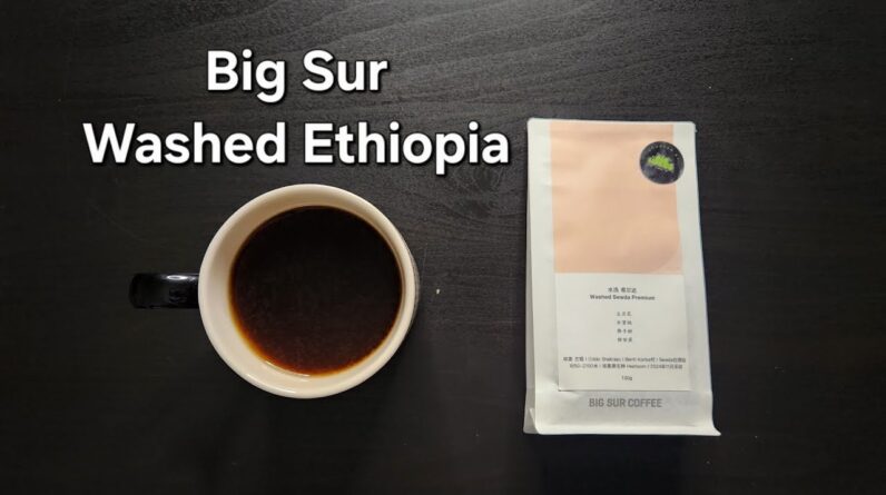 Big Sur Coffee Review (Shanghai, China)- Washed Ethiopia Sewda