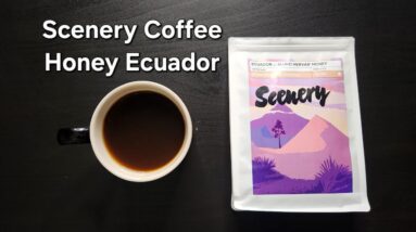 Scenery Coffee Review (London, England)- Honey Ecuador Mario Hervas