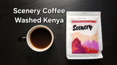 Scenery Coffee Review (London, England)- Washed Kenya Gondo AA