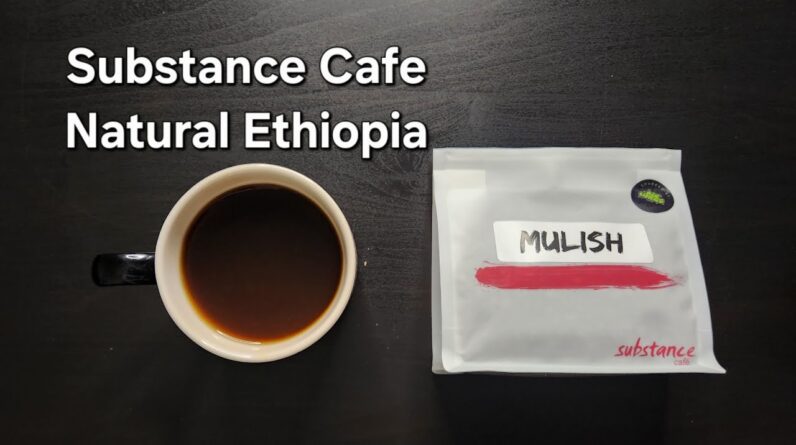 Substance Cafe Review (Paris, France)- Natural Ethiopia Mulish
