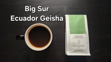Big Sur Coffee Review (Shanghai, China)- Washed Ecuador Alaska Del Sur Geisha
