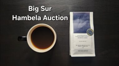 Big Sur Coffee Review (Shanghai, China)- Washed Ethiopia Faysel Abdosh Hambela Auction Lot