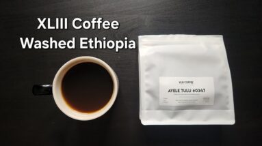 XLIII Coffee Review (Da Nang, Vietnam)- Washed Ethiopia Ayele Tulu #0347