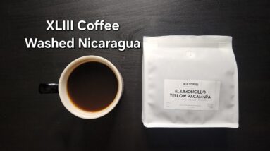 XLIII Coffee Review (Da Nang, Vietnam)- Washed Nicaragua El Limoncillo