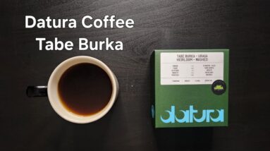 Datura Coffee Review (Paris, France)- Washed Ethiopia Tabe Burka - Uraga