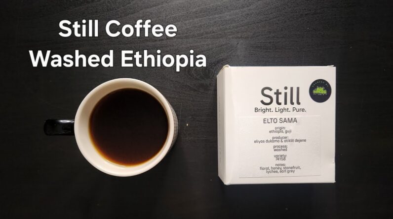 Still Coffee Roasters Review (The Hague, Netherlands)- Washed Ethiopia Elto Sama