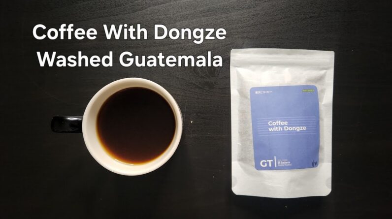 Coffee With Dongze Review (San Francisco, CA)- Washed Guatemala El Socorro