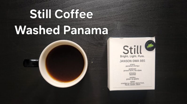 Still Coffee Roasters Review (The Hague, Netherlands)- Washed Panama Janson GWA 985