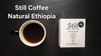 Still Coffee Roasters Review (The Hague, Netherlands)- Natural Ethiopia Alo Alache
