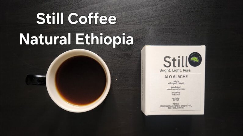 Still Coffee Roasters Review (The Hague, Netherlands)- Natural Ethiopia Alo Alache